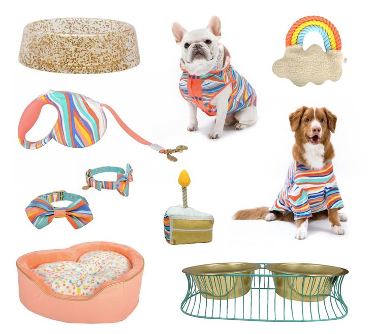 Petpaw Petshop